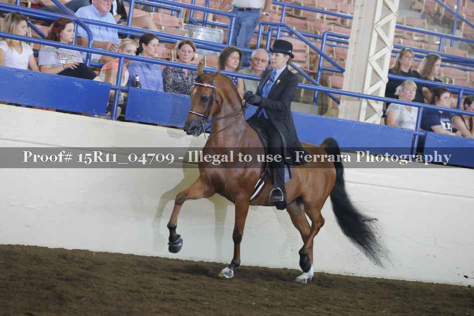 Proof 15R11_04709