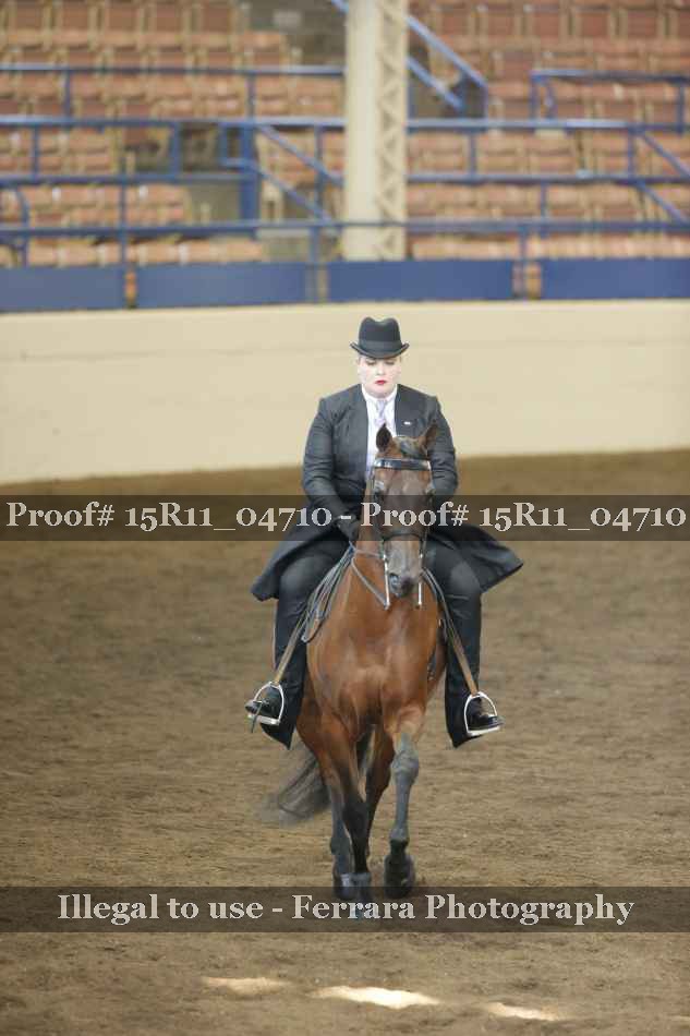 Proof 15R11_04710