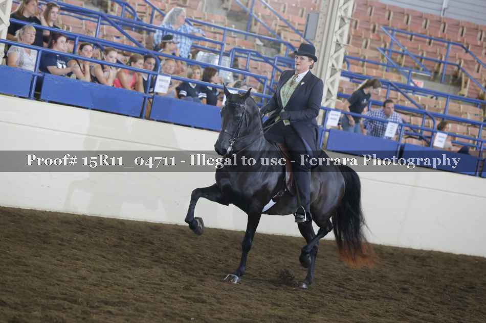Proof 15R11_04711