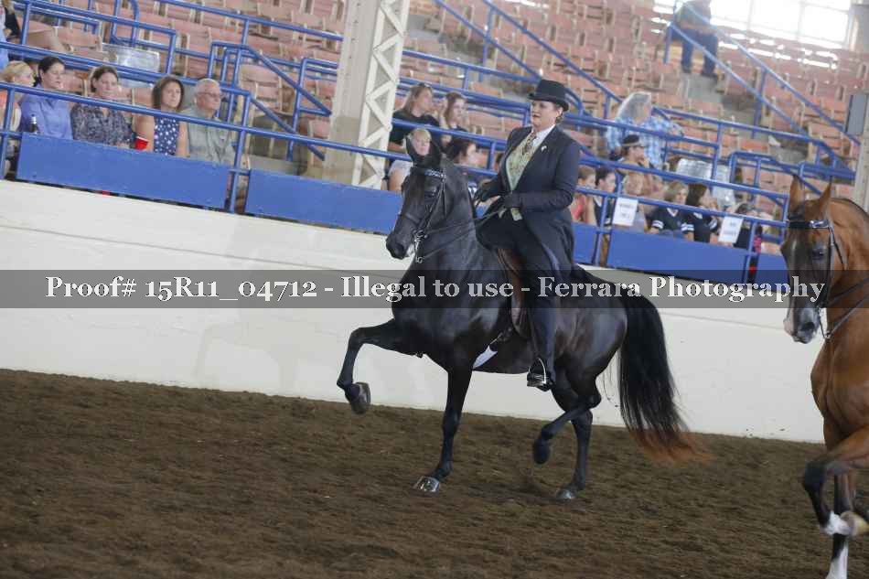 Proof 15R11_04712