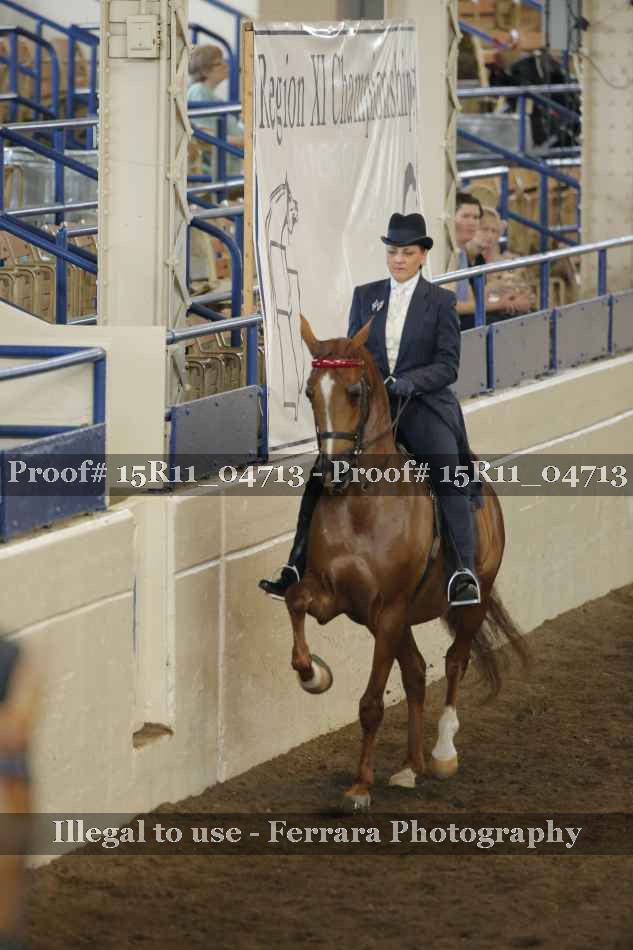 Proof 15R11_04713