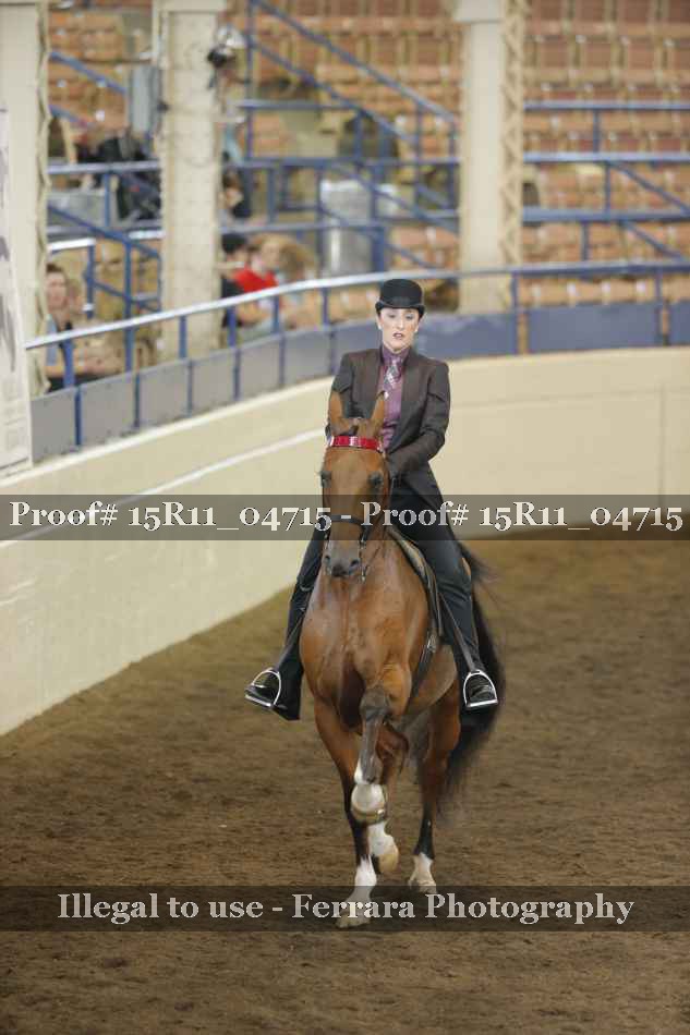 Proof 15R11_04715