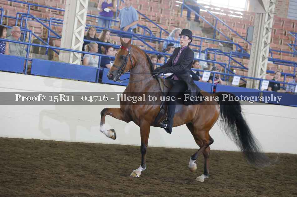 Proof 15R11_04716
