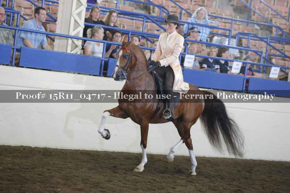Proof 15R11_04717