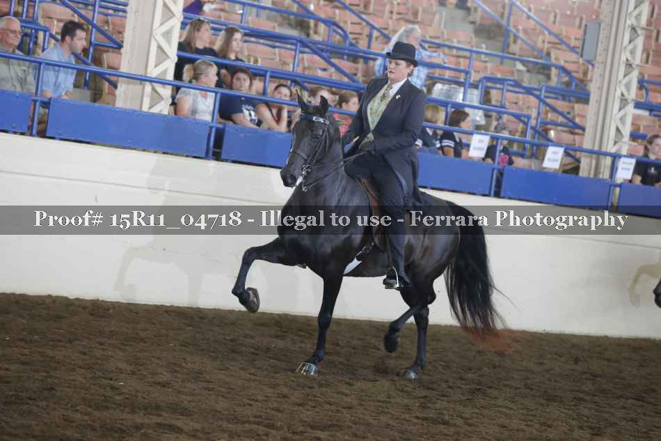 Proof 15R11_04718