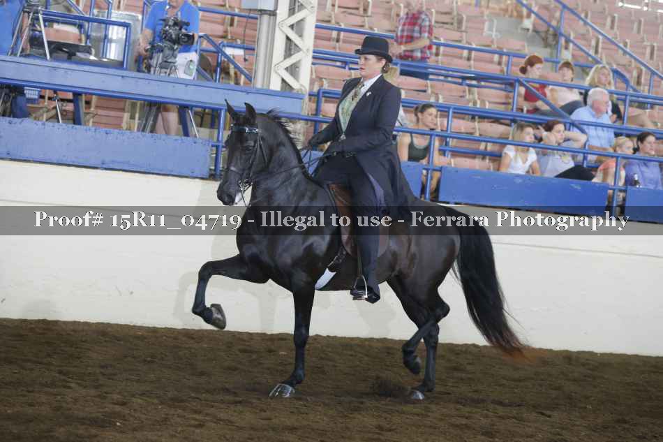 Proof 15R11_04719