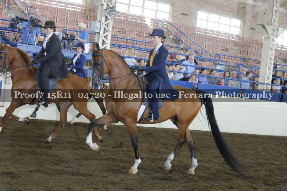 Proof 15R11_04720