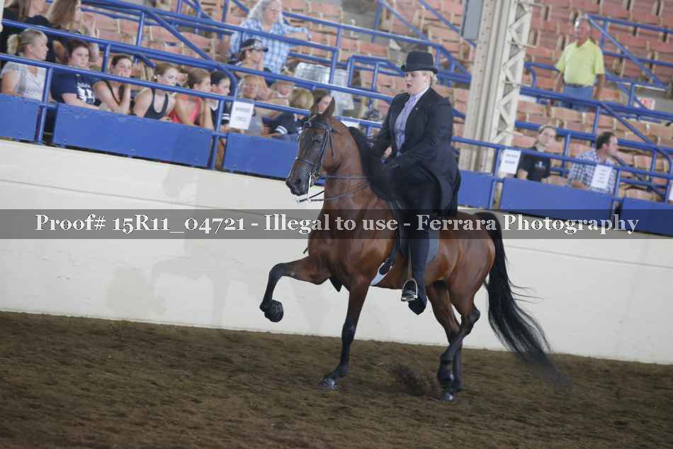 Proof 15R11_04721