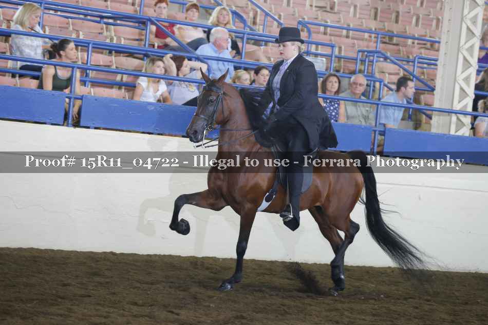Proof 15R11_04722