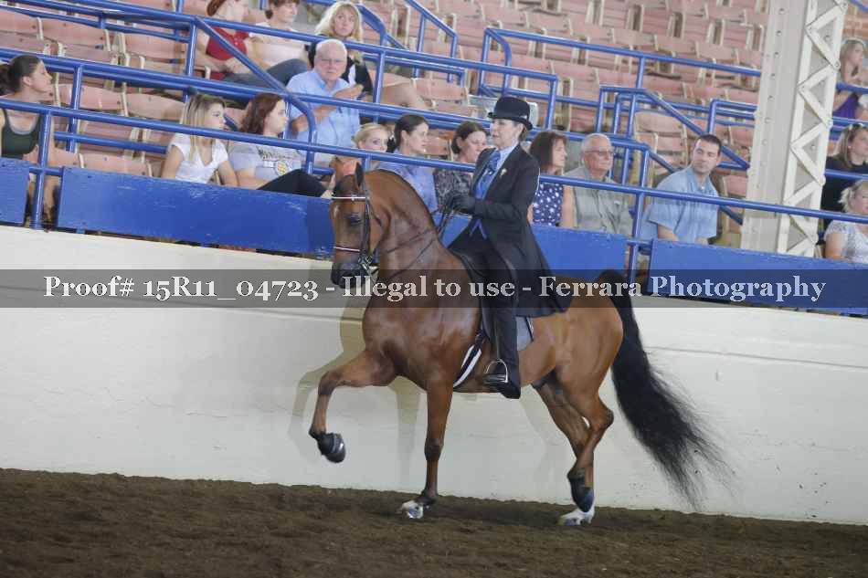 Proof 15R11_04723