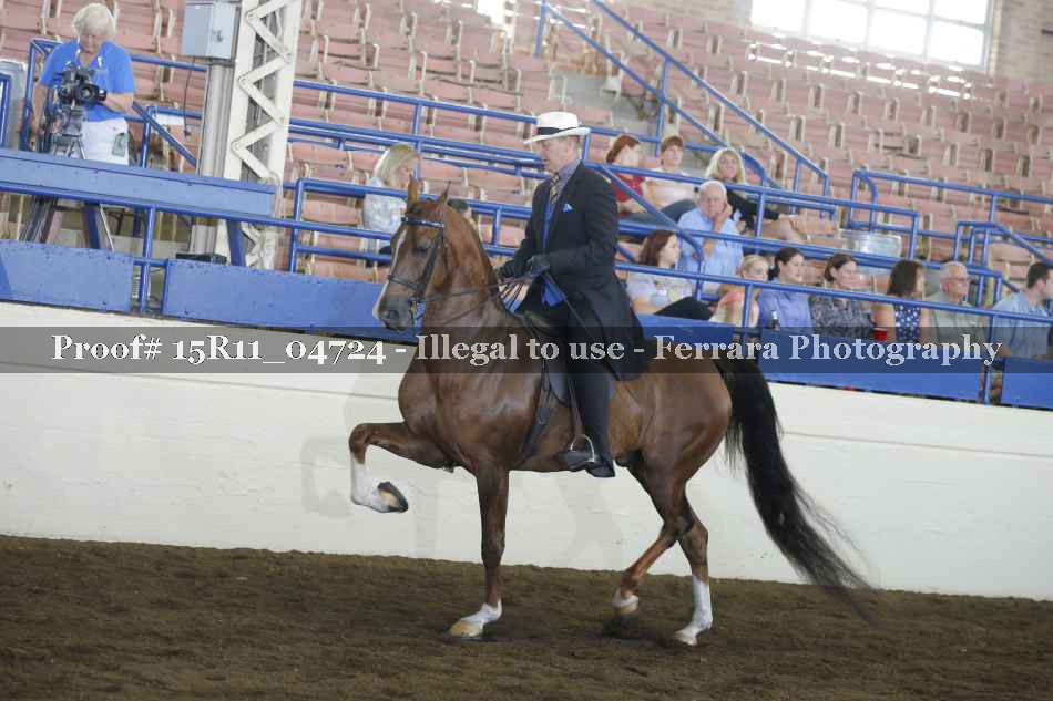 Proof 15R11_04724