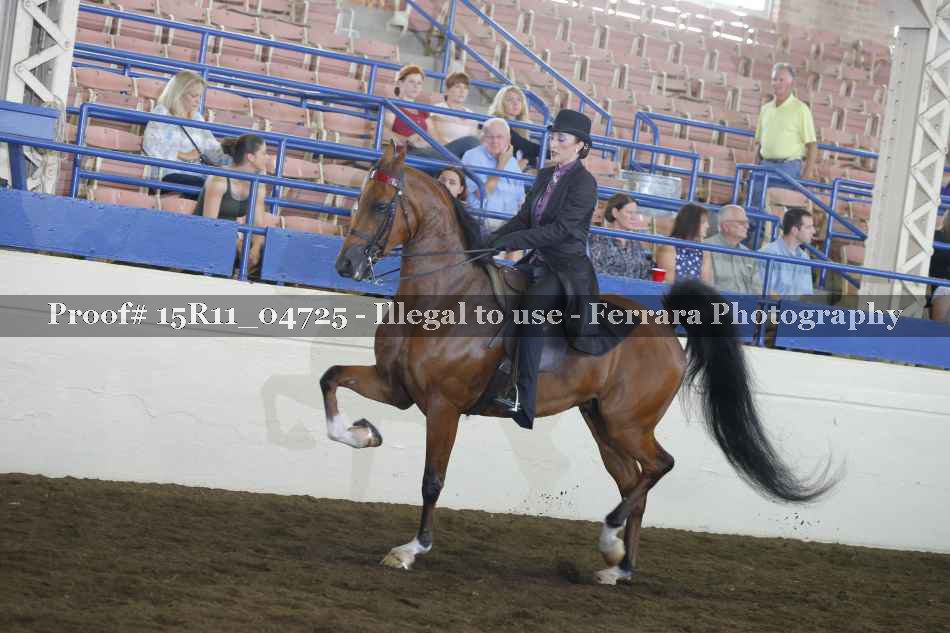 Proof 15R11_04725
