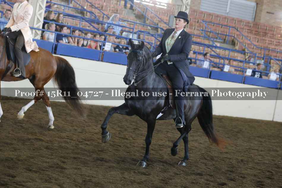 Proof 15R11_04727