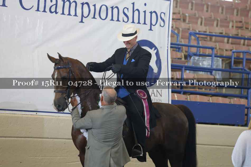 Proof 15R11_04728