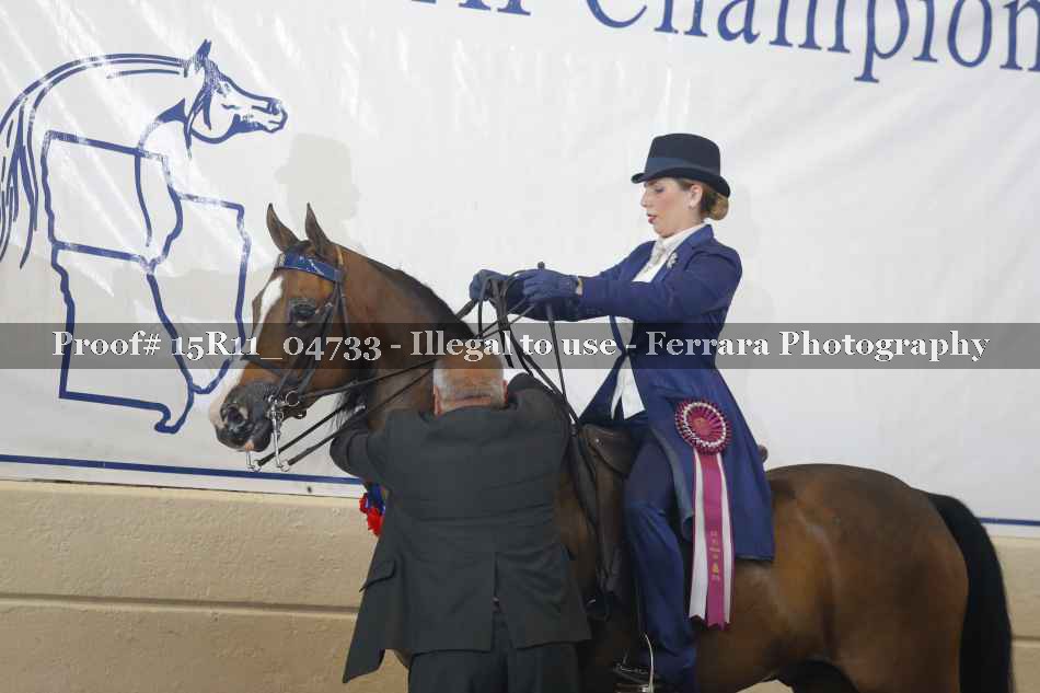 Proof 15R11_04733