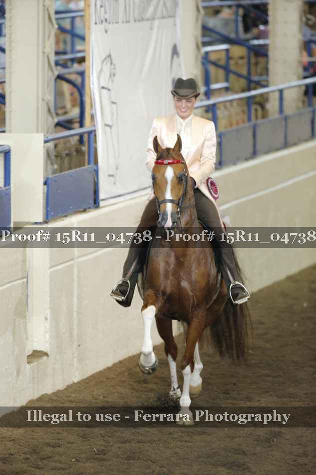 Proof 15R11_04738