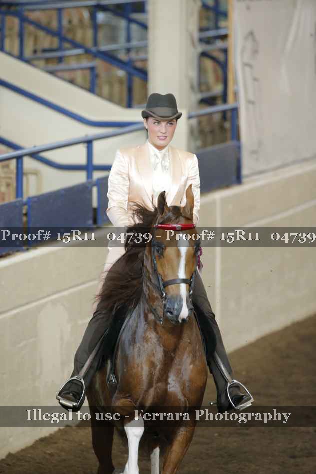 Proof 15R11_04739