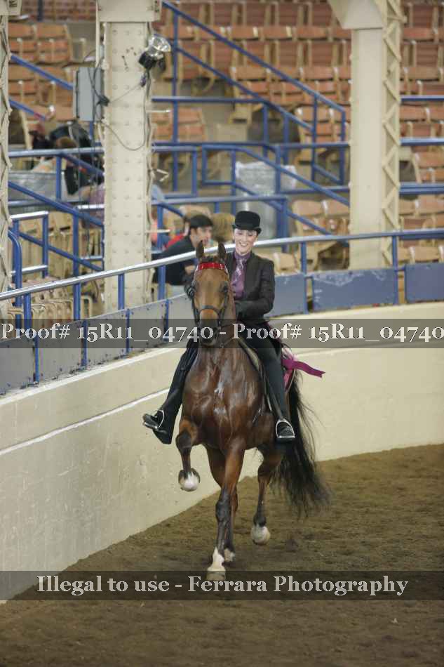 Proof 15R11_04740