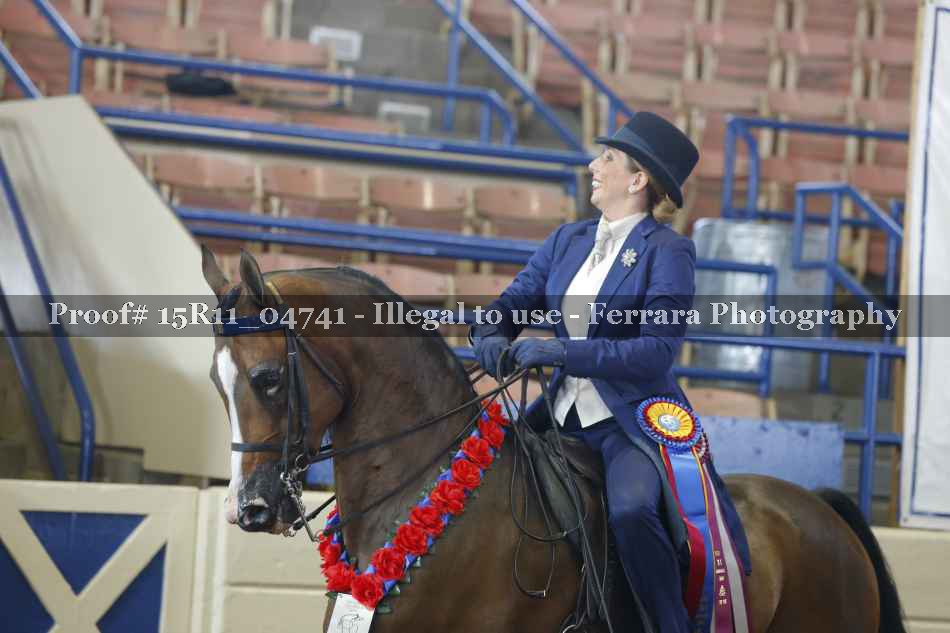 Proof 15R11_04741