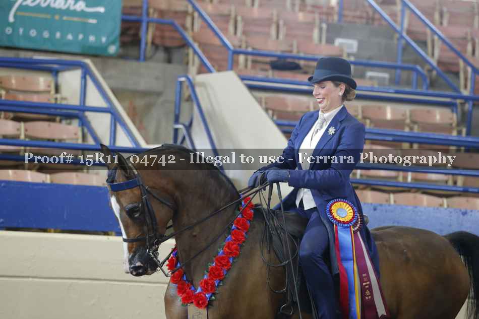 Proof 15R11_04742