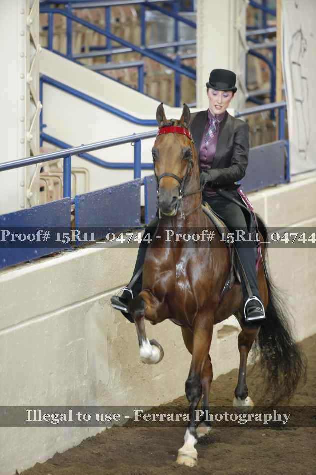 Proof 15R11_04744