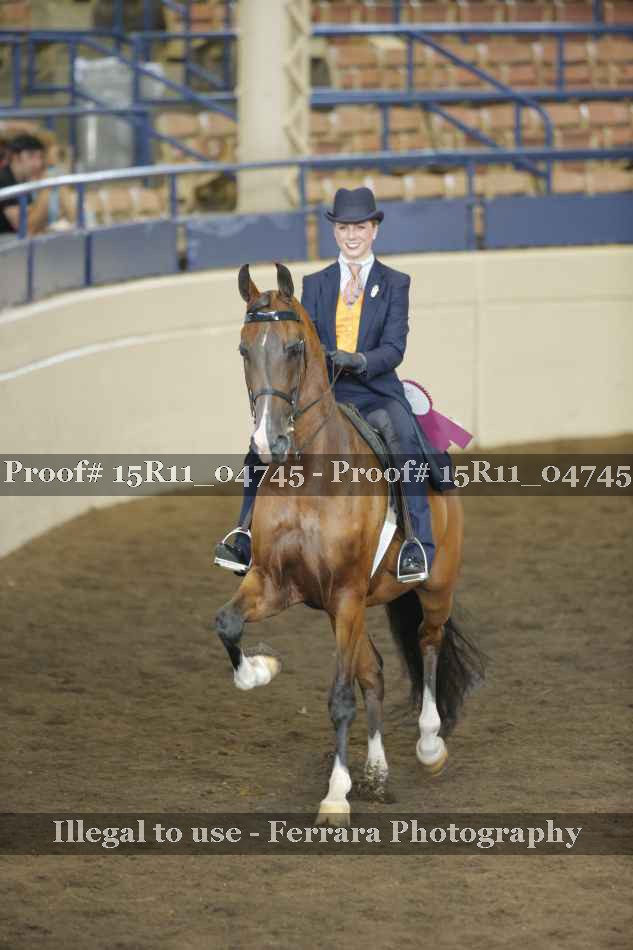 Proof 15R11_04745