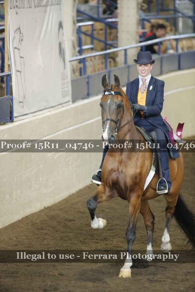 Proof 15R11_04746