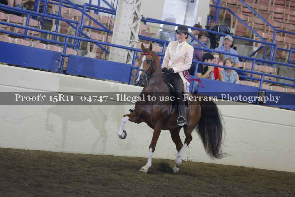 Proof 15R11_04747