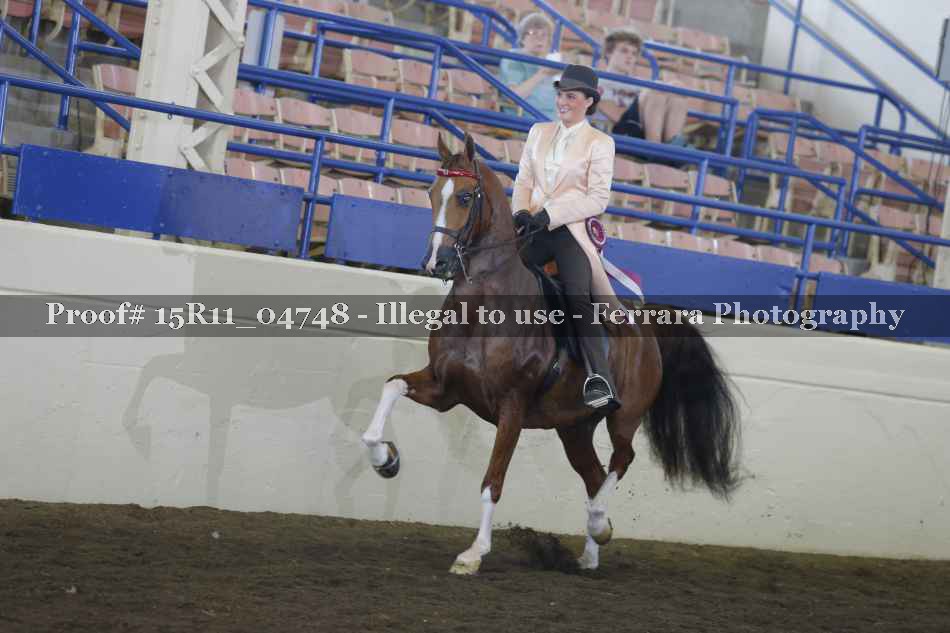 Proof 15R11_04748