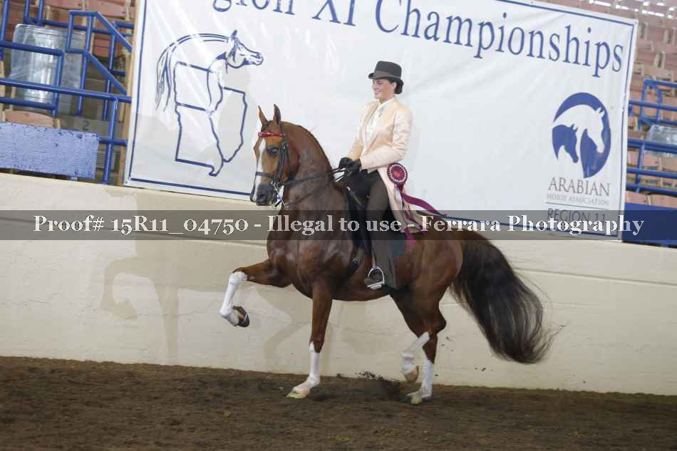 Proof 15R11_04750