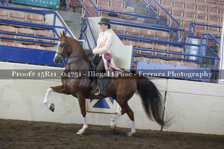 Proof 15R11_04751
