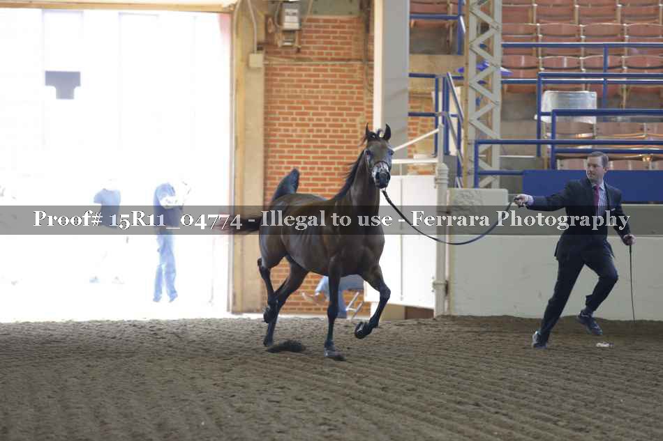 Proof 15R11_04774