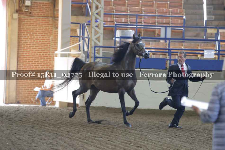 Proof 15R11_04775