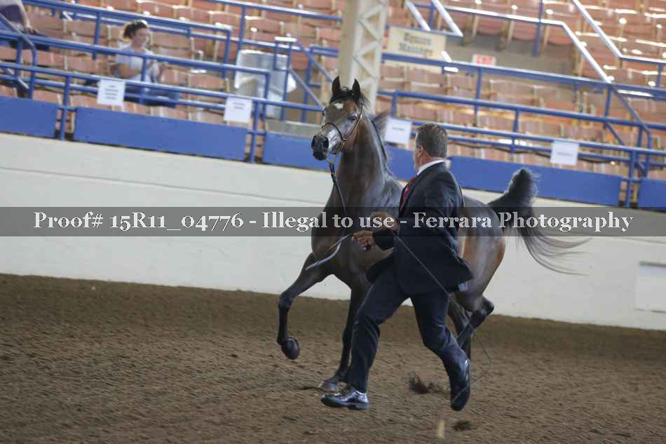 Proof 15R11_04776