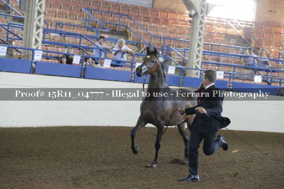 Proof 15R11_04777