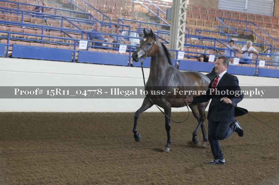 Proof 15R11_04778