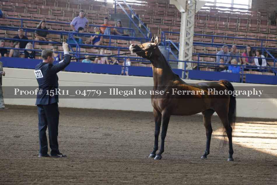 Proof 15R11_04779