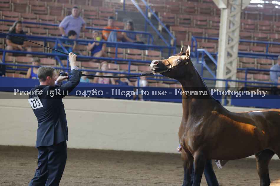 Proof 15R11_04780
