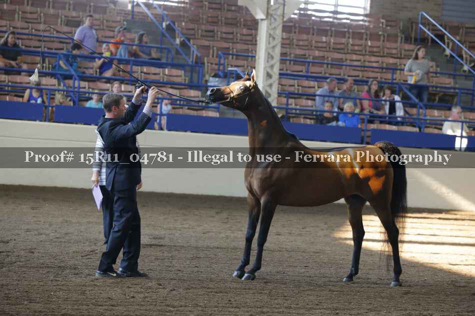 Proof 15R11_04781