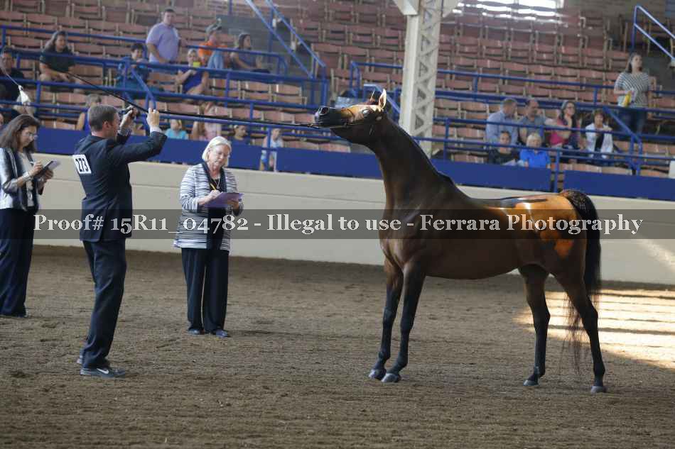 Proof 15R11_04782
