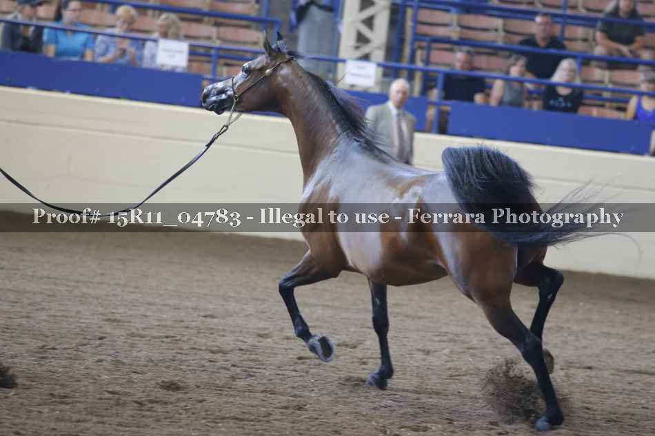 Proof 15R11_04783