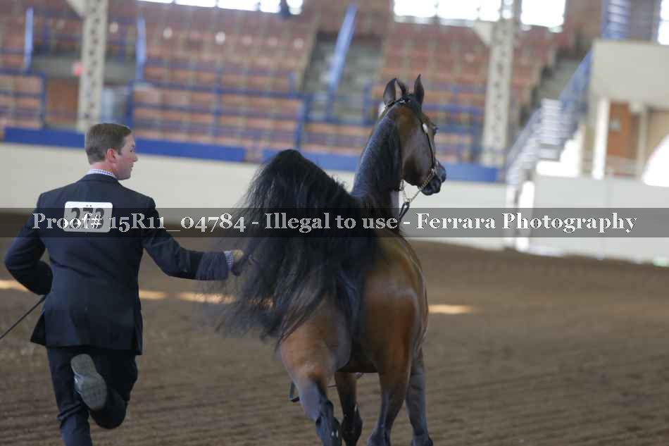 Proof 15R11_04784