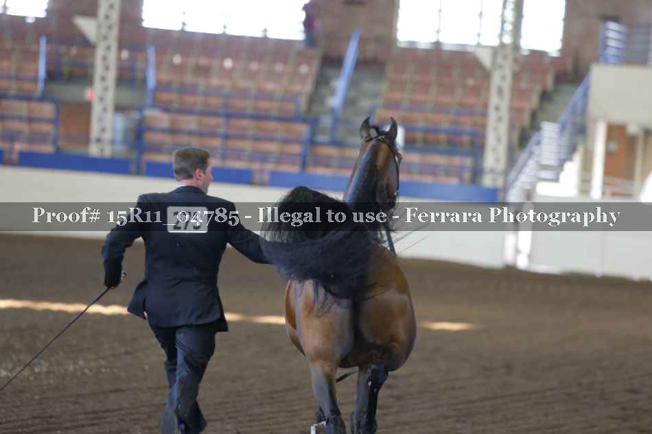 Proof 15R11_04785