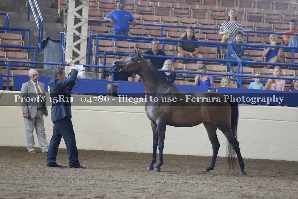 Proof 15R11_04786