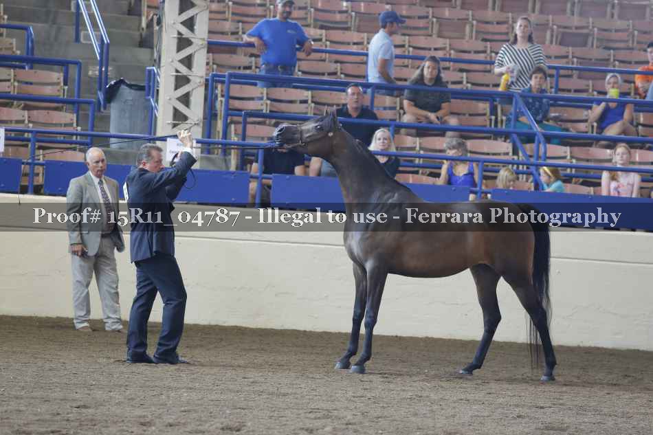 Proof 15R11_04787