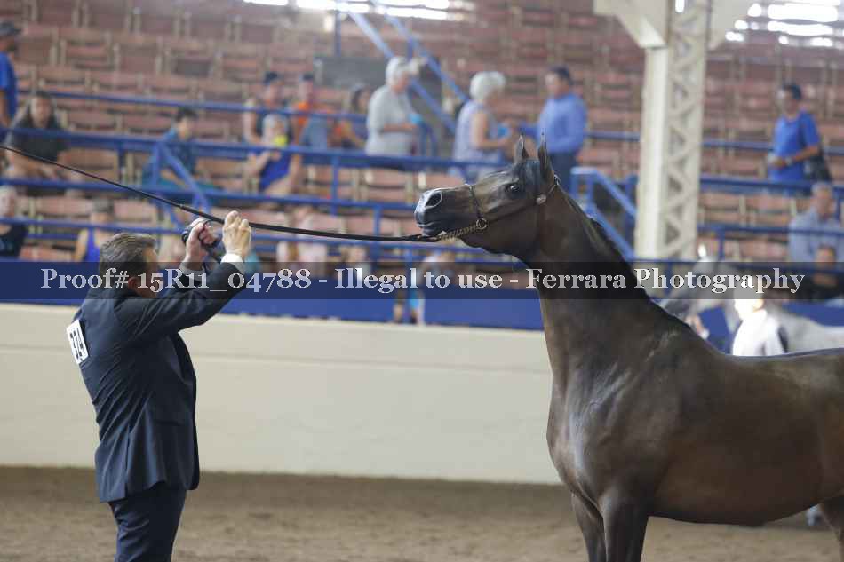 Proof 15R11_04788