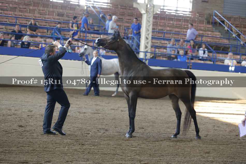 Proof 15R11_04789