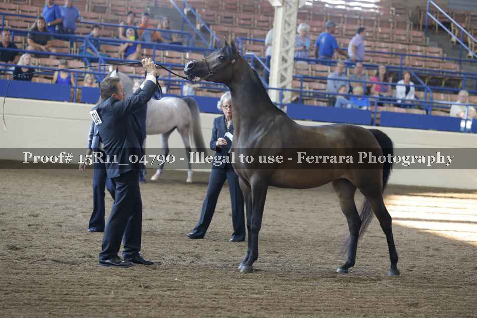 Proof 15R11_04790