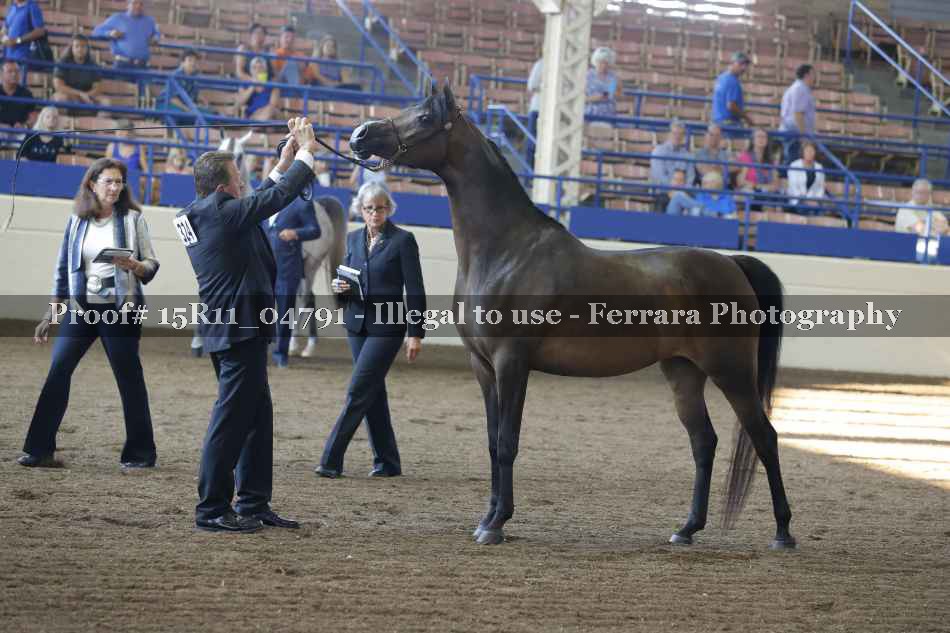 Proof 15R11_04791