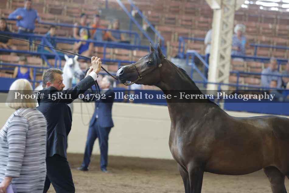Proof 15R11_04792